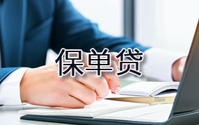 威海保单贷